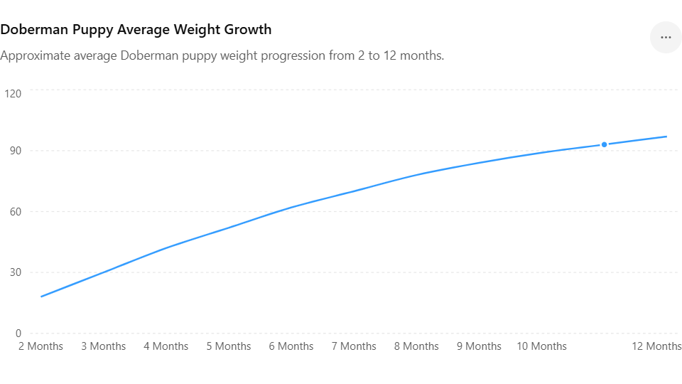 Doberman puppy average weight growth chart from 2 to 12 months
